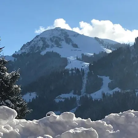 Apartamento Wittner's